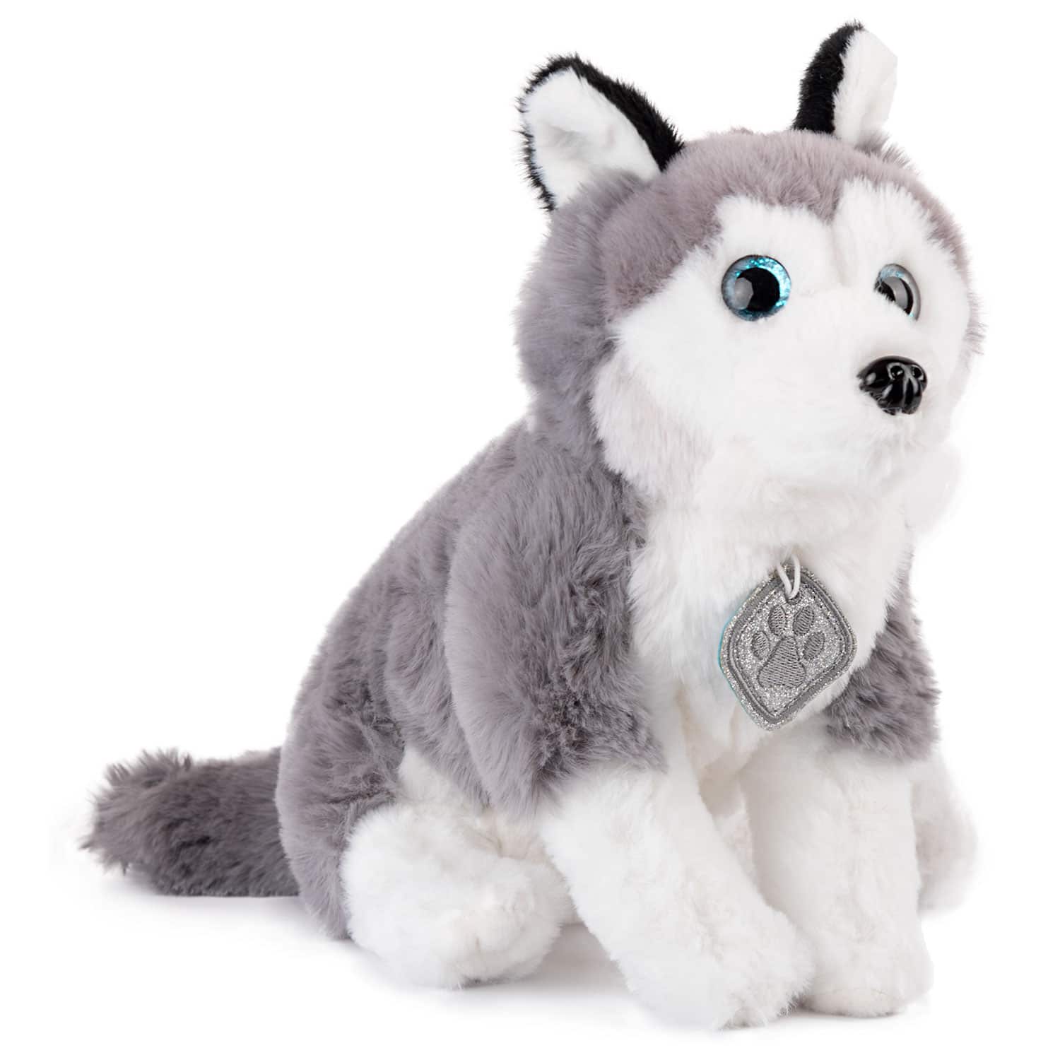 Husky dog with a medallion