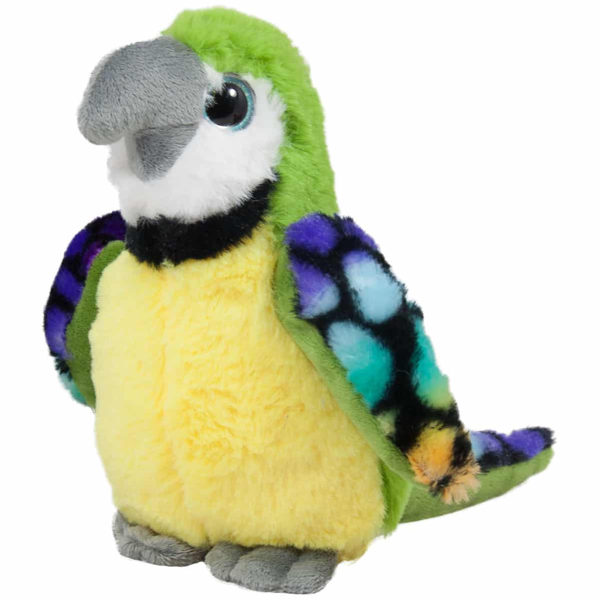 Colorful parrot - Green