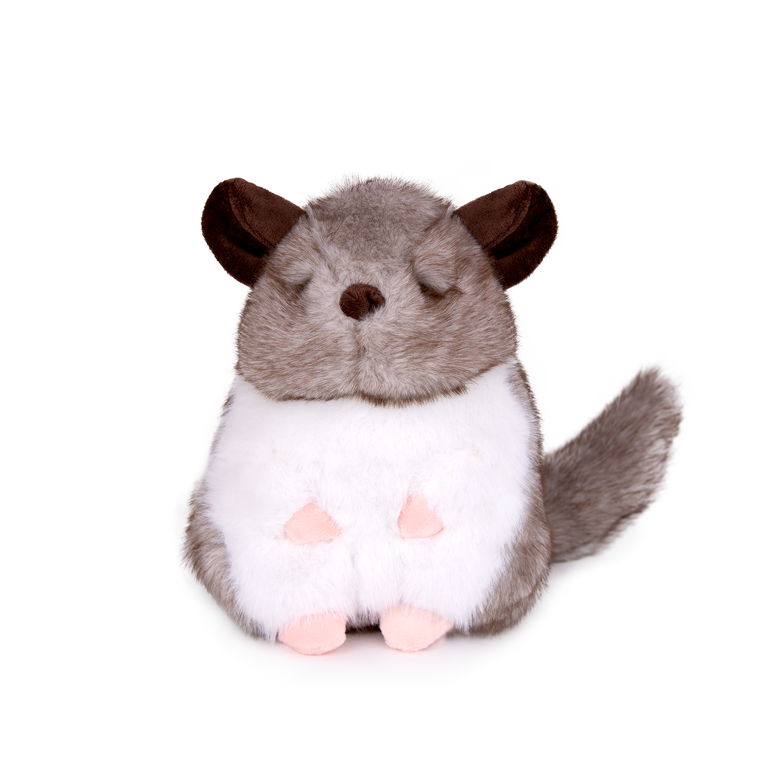 Чинчила - Сив