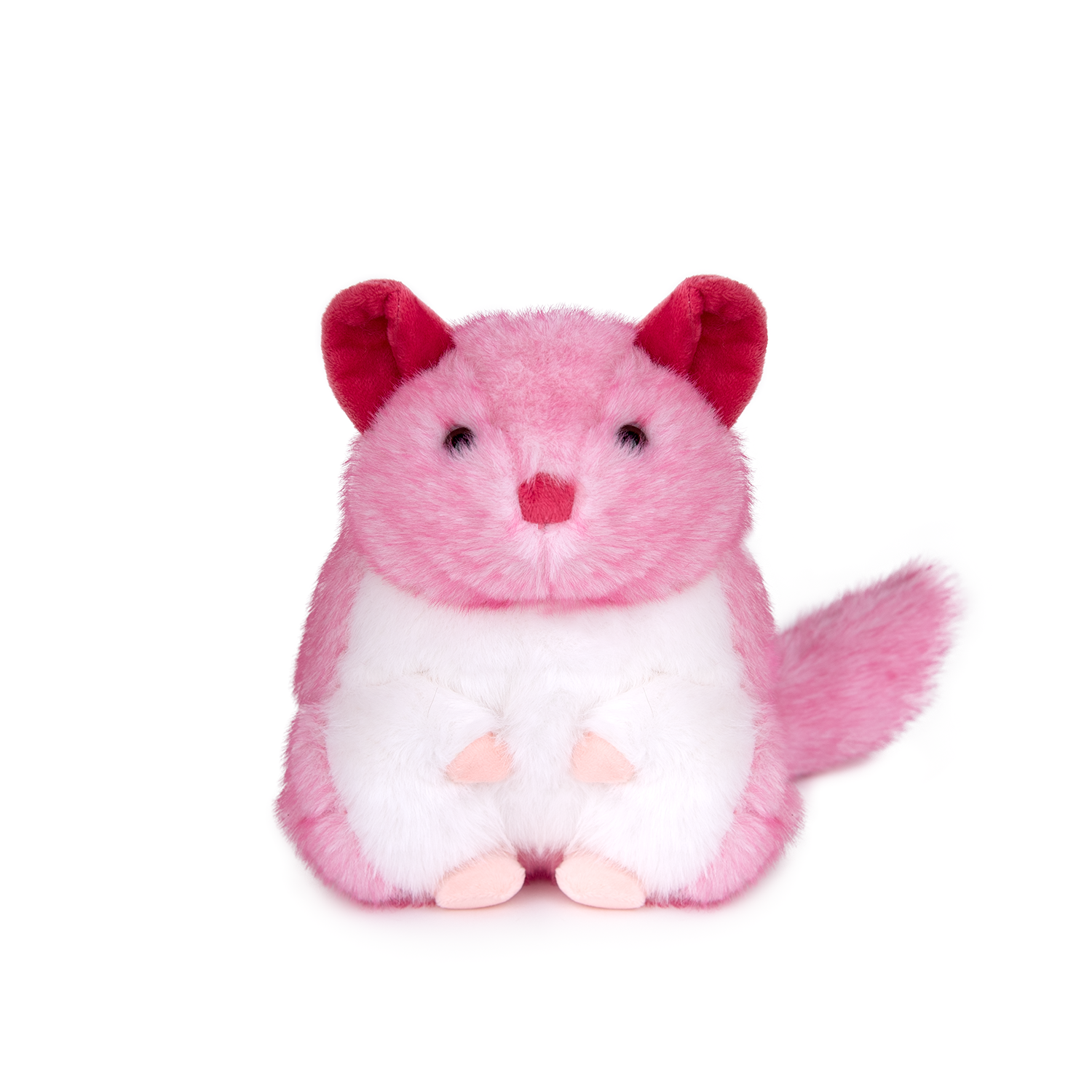 Чинчила - Розов