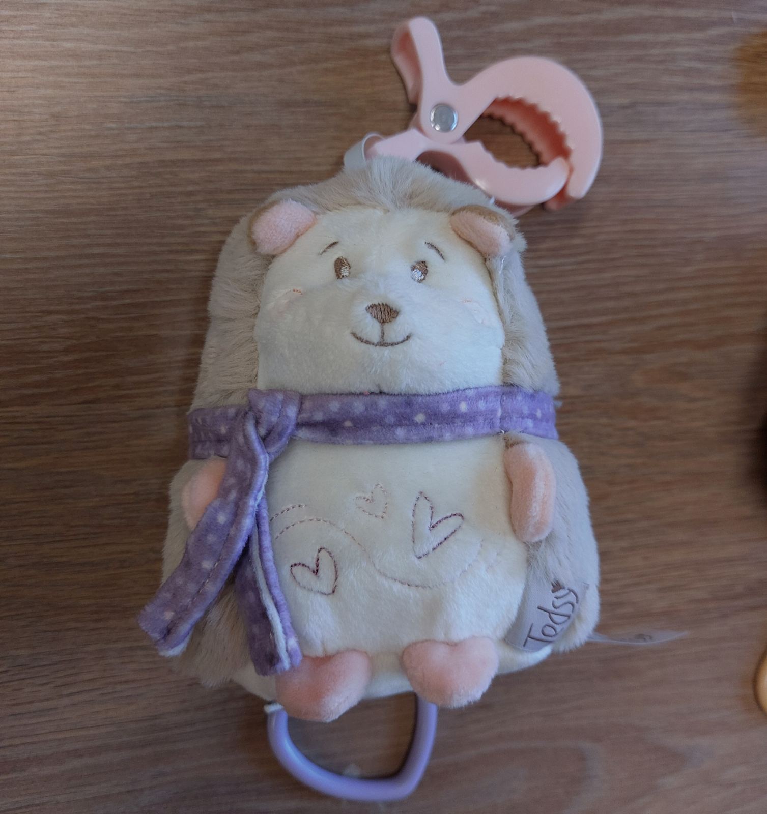 Hedgehog with music - Purple