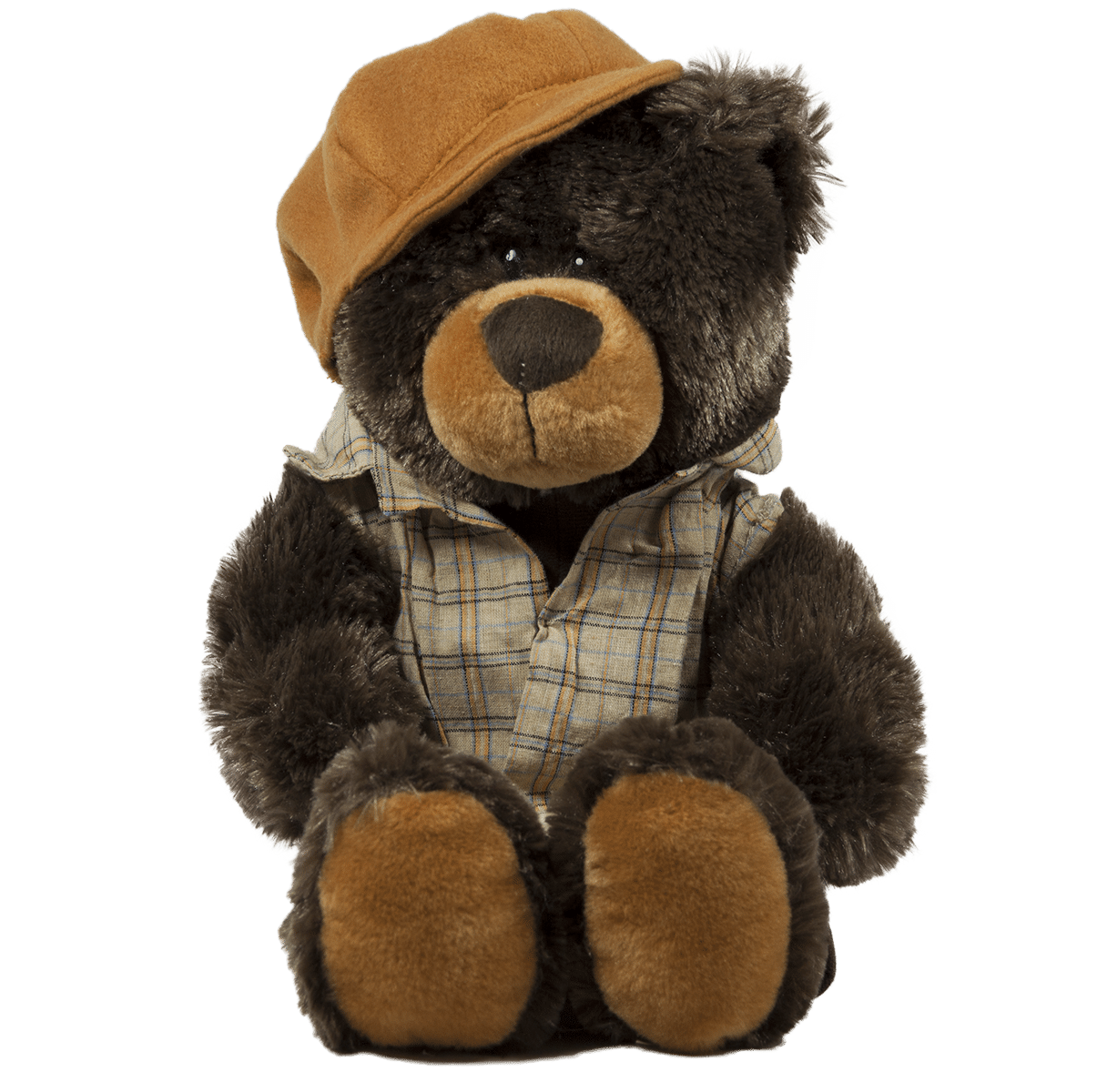 Bear with shirt and hat