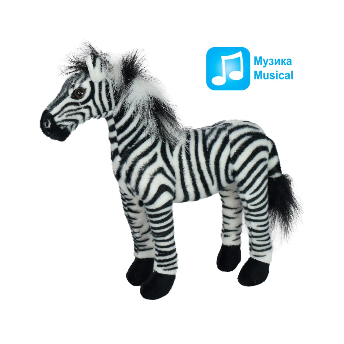 Zebra with sound