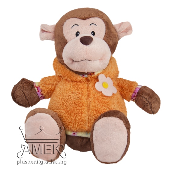 Monkey with jacket