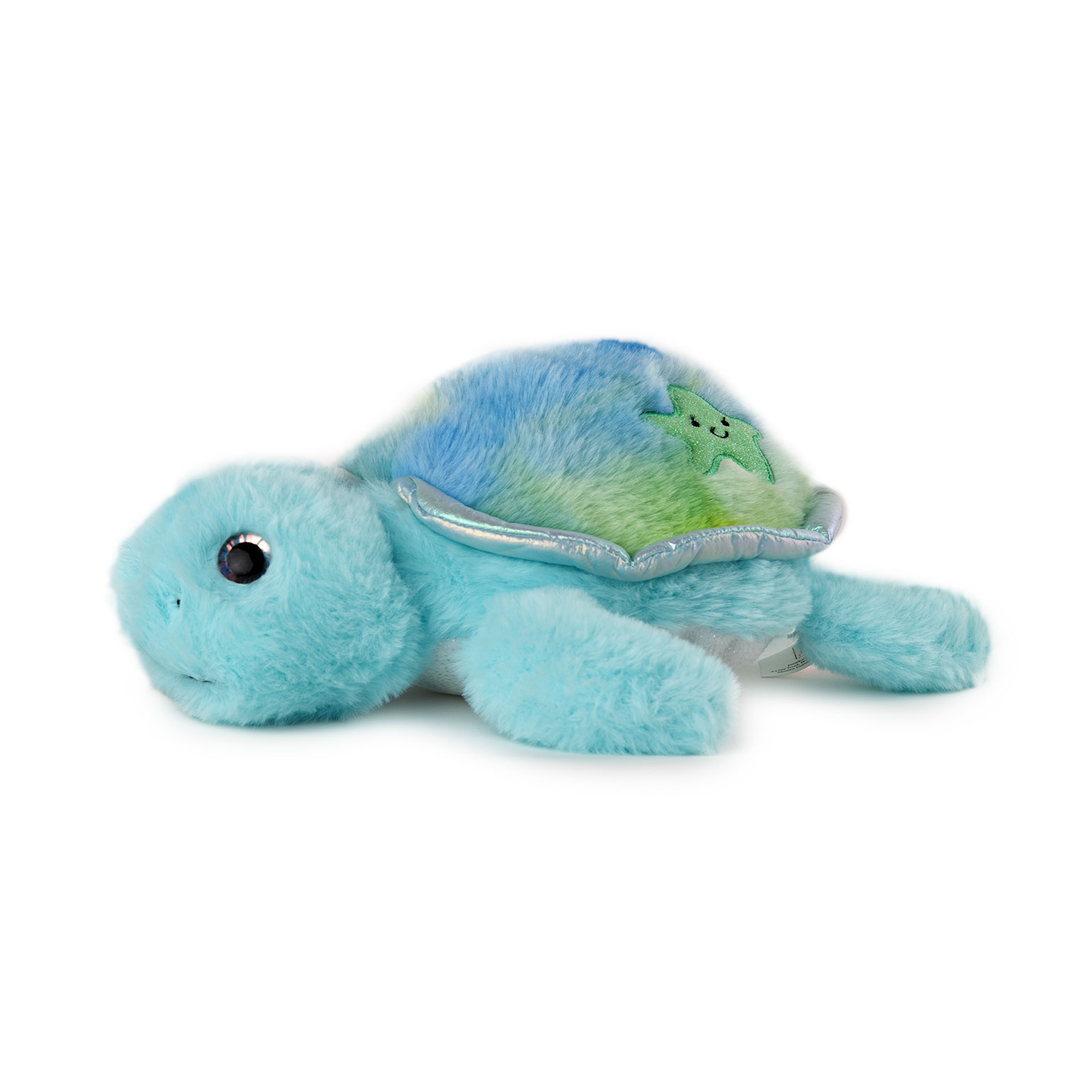 Turtle - Blue