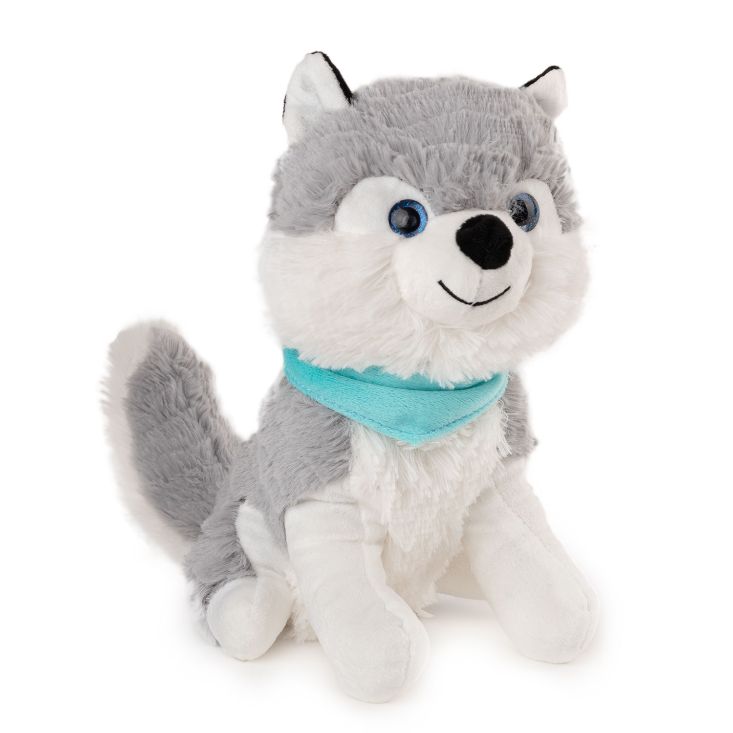 Husky dog with a blue scarf