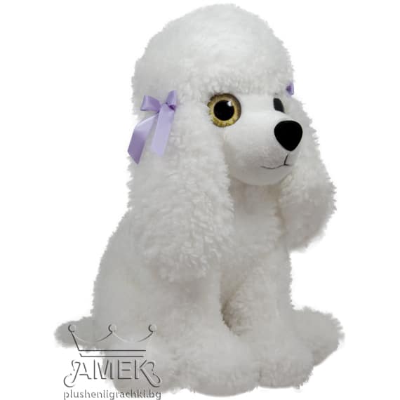 Poodle dog with big eyes - White