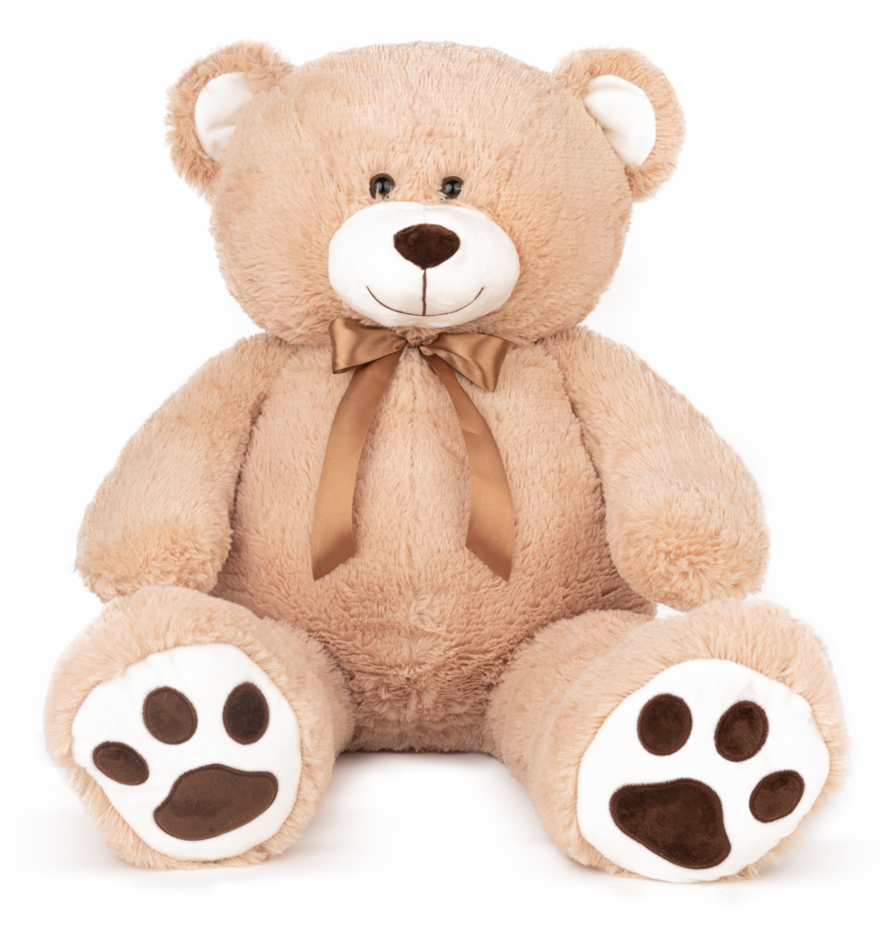 Teddy bear with ribbon