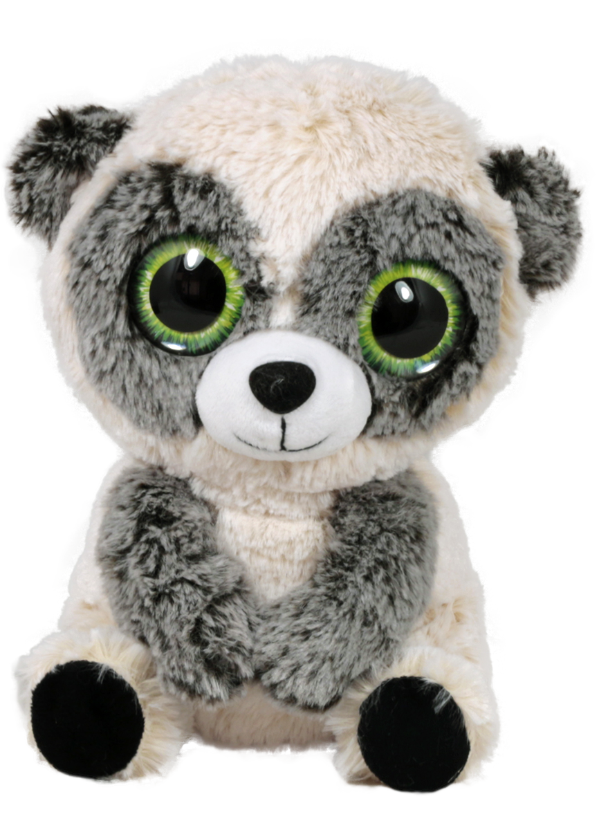 Animals with big eyes - Raccoon